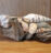 Beach Decor: Beach Decor Ideas, Beach Decor, Beach Decor Centerpiece, Beach Wedding Centerpiece, Driftwood Display, Driftwood Home Accent