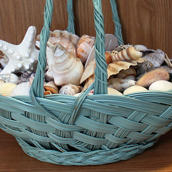 Ocean Treasure Basket