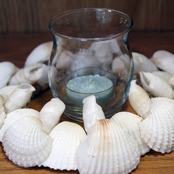 Shell Candle Ring