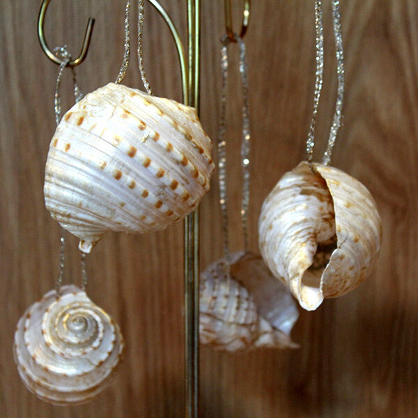 Shimmer Shell Ornament