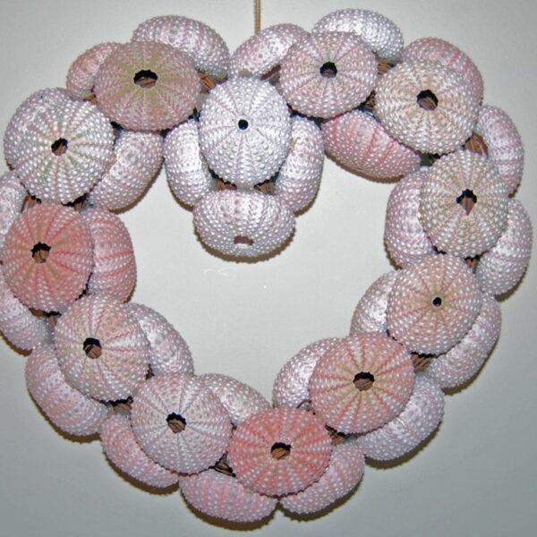 Sea Urchin Shell Wreath