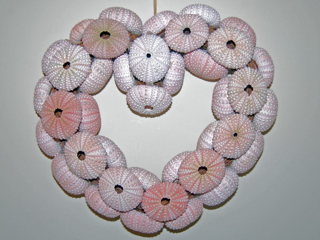 Sea Urchin Shell Wreath Front View
