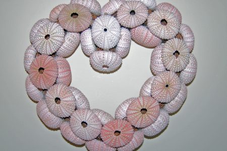 Sea Urchin Shell Wreath Front View