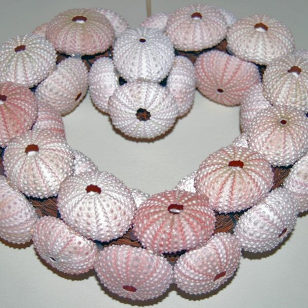 Sea Urchin Shell Wreath