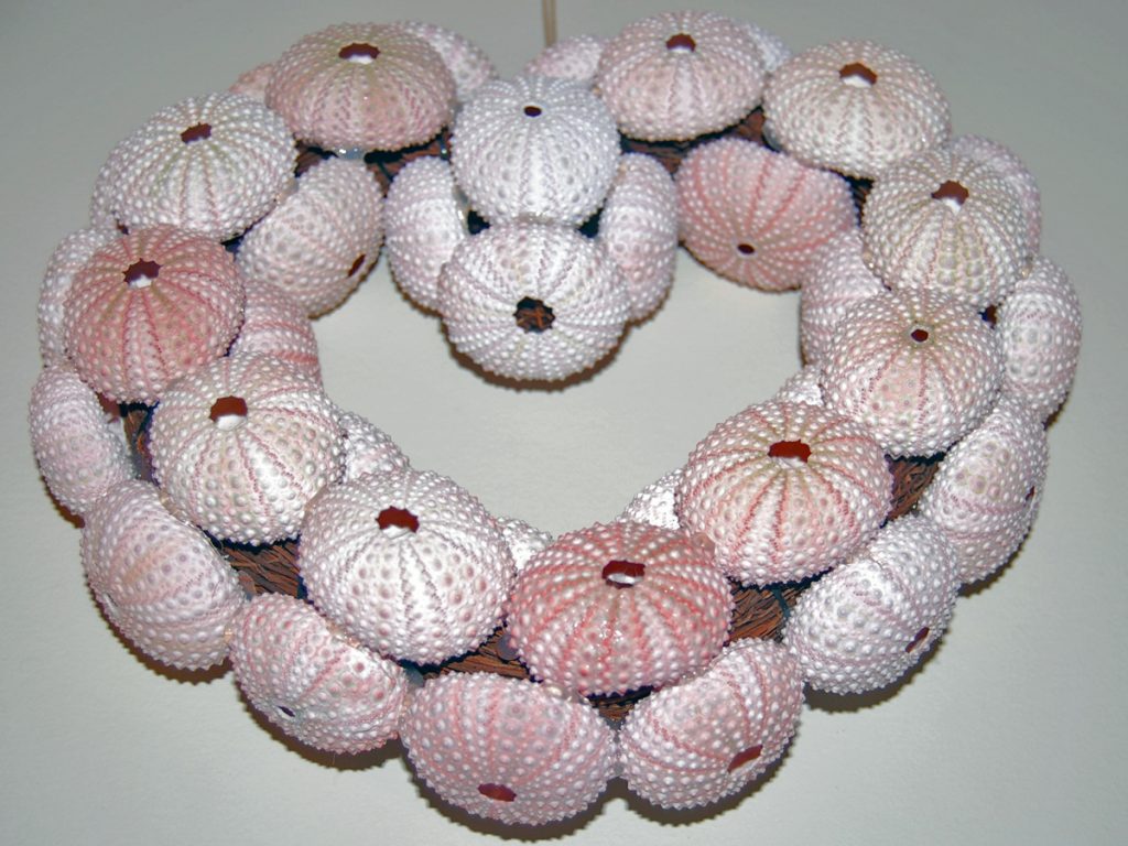Sea Urchin Shell Wreath Bottom View