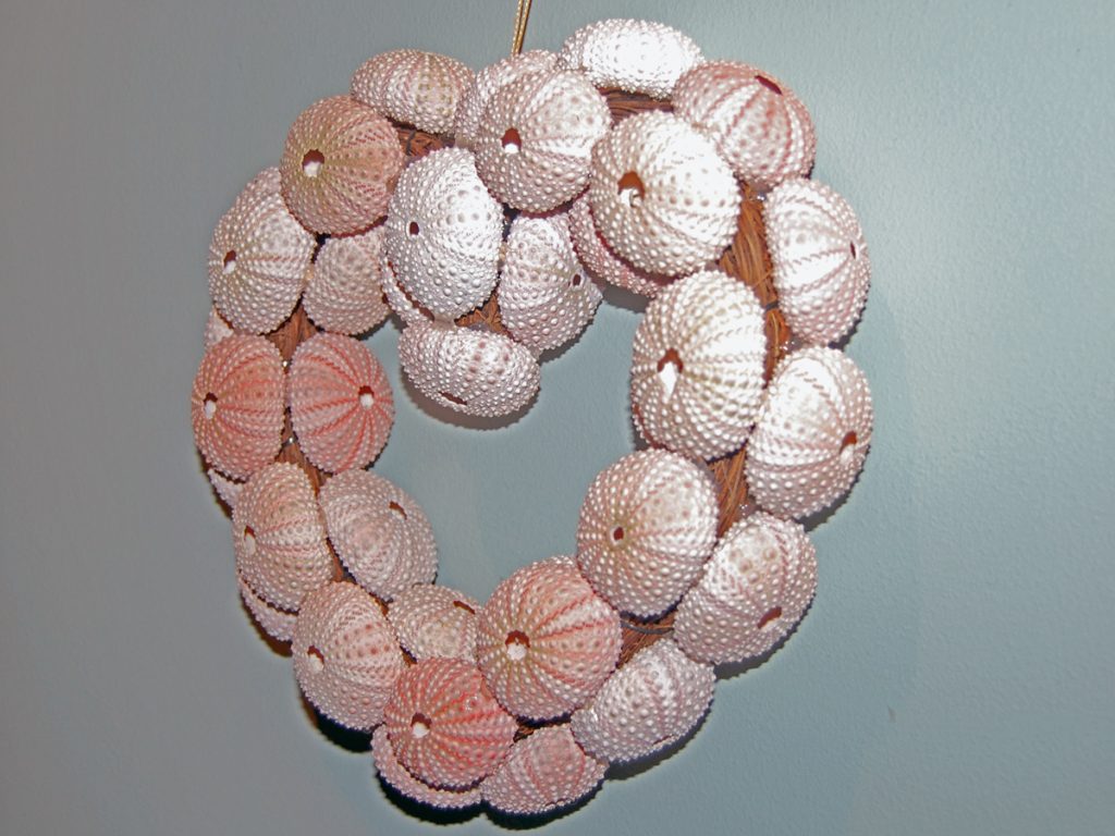Sea Urchin Shell Wreath Right View